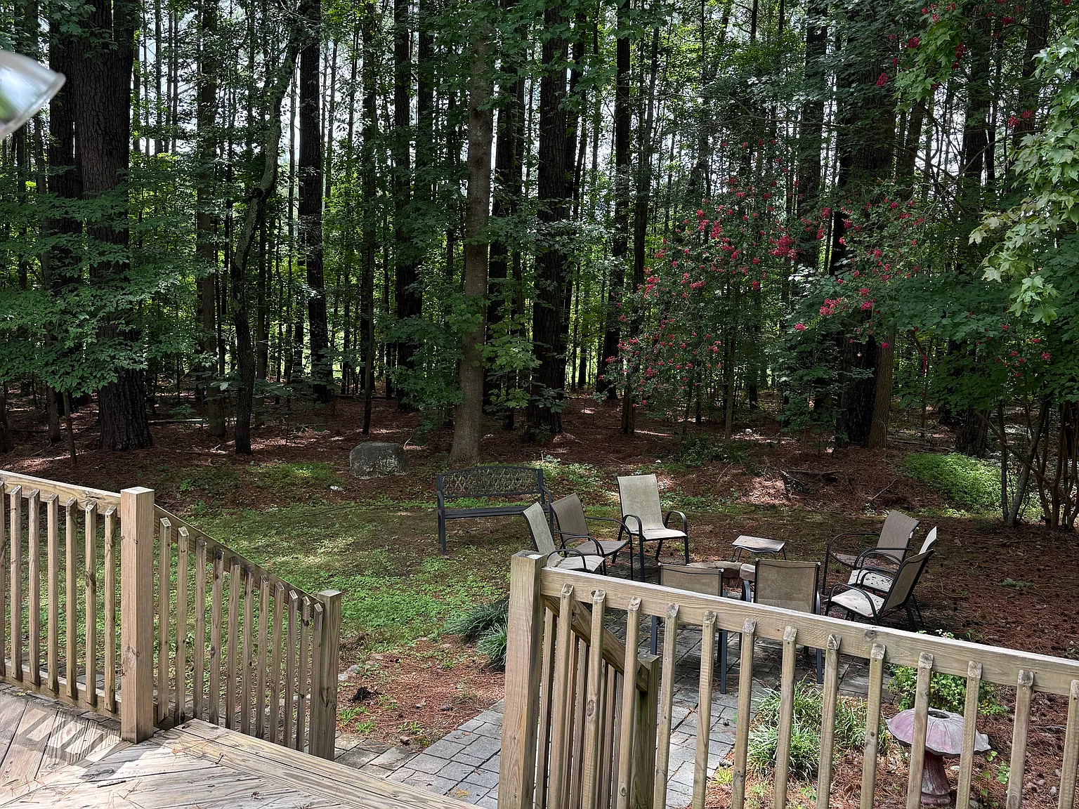 3 bed, 1313 sqft, $1,900 — Photo 2