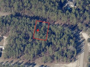 SW 139th St PARCEL 4, Ocala, FL 34473