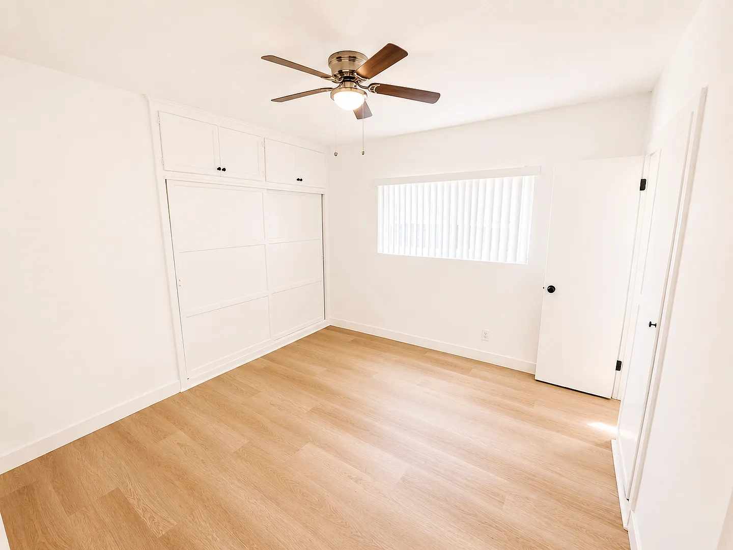 Maple Apartments — Photo 4