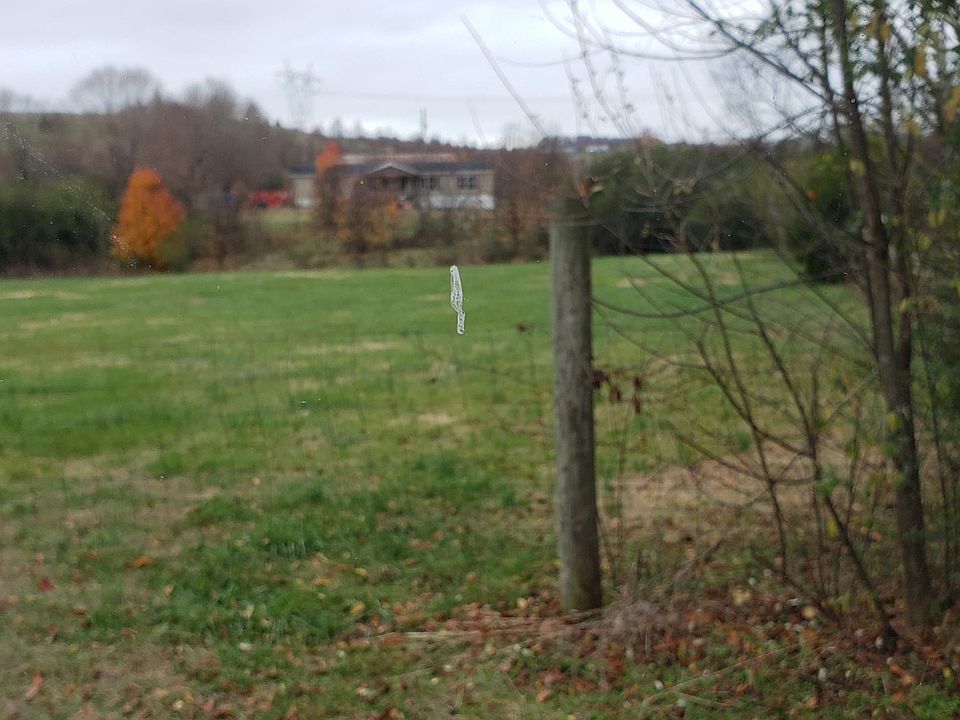2nd image of 8478 Little Valley Rd