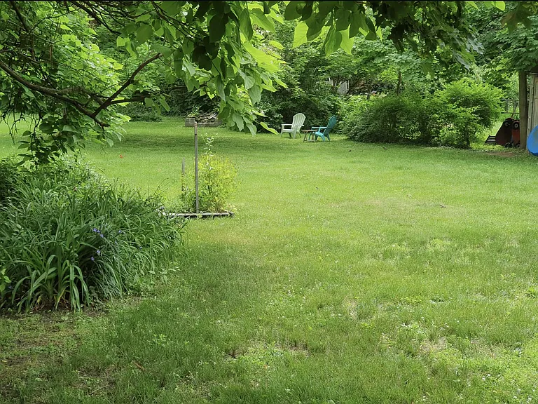 Serene backyard