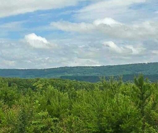 3rd image of 2 Bethel Rd Lot 2