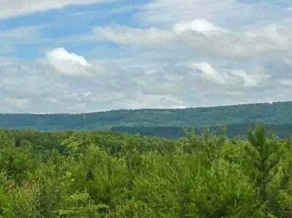 1 Bethel Rd Lot 1, Valley Head, AL 35989