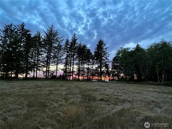 63 Ranta Road, Bay Center, WA 98527