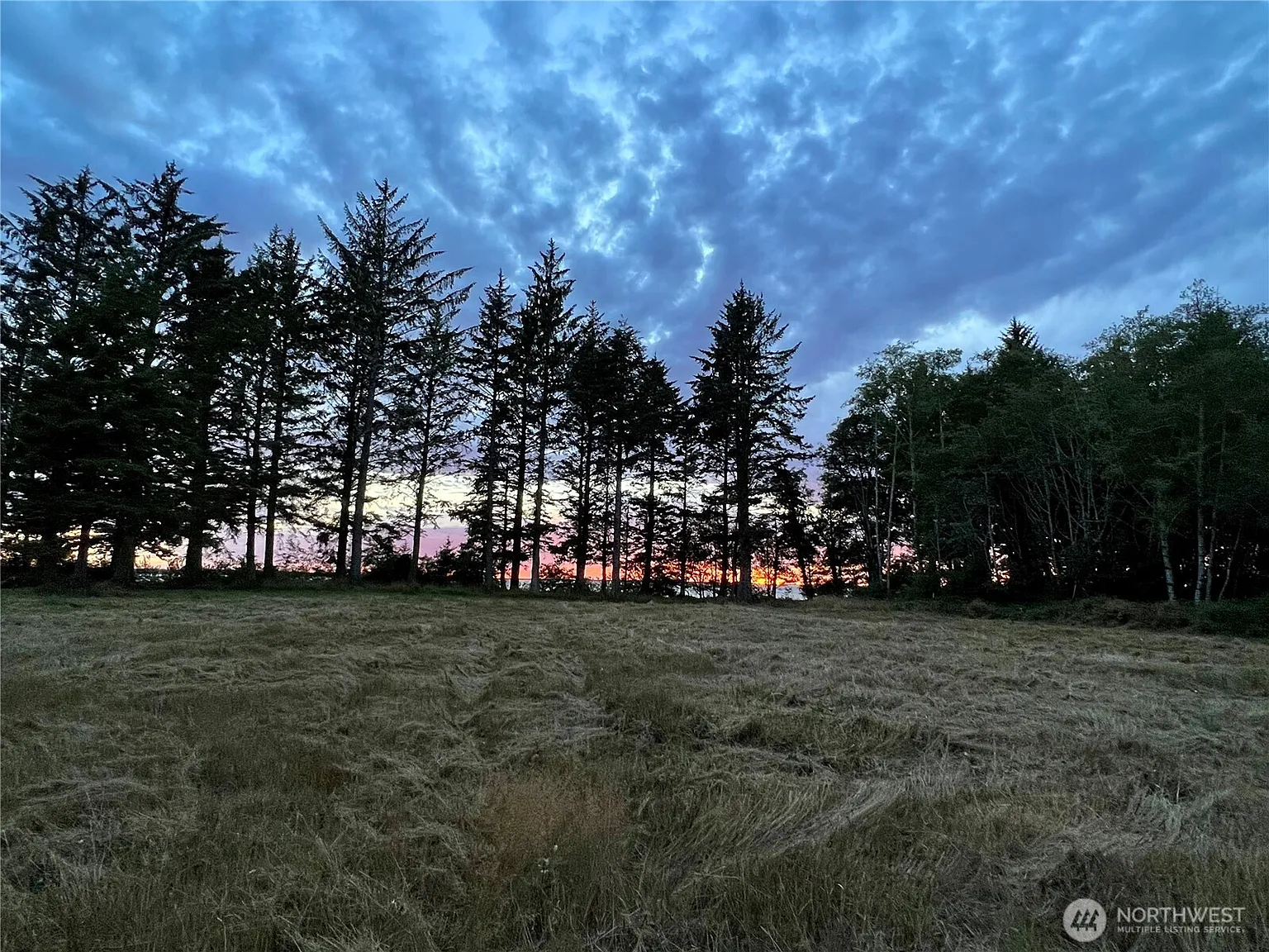 63 Ranta Road photo 1