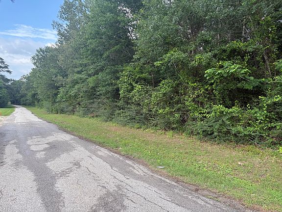 4th image of TRACT 29 Highway 59 S