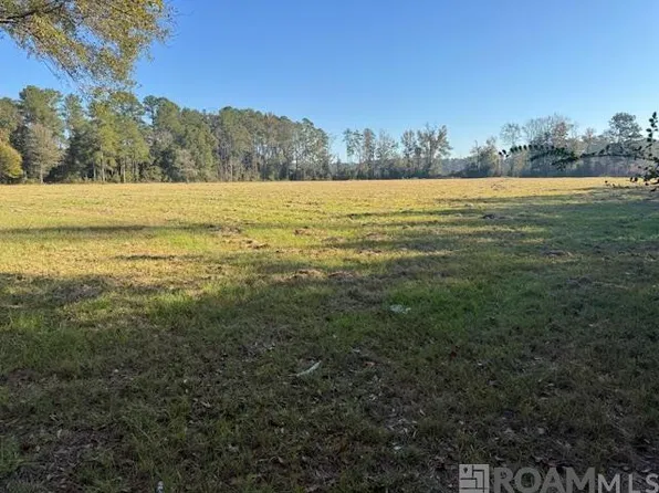 Buck Carroll Rd, Walker, LA 70785