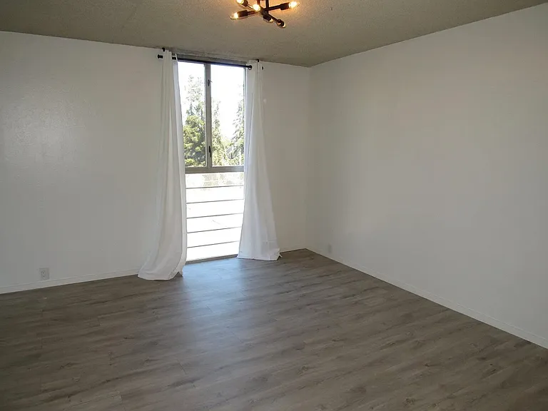 3909 Stevenson Blvd #207 — Photo 6