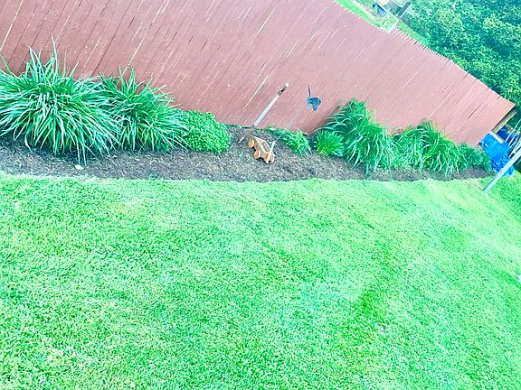 Flower bed side yard