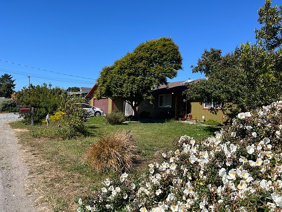 The front of the home. The front yard has many shrubs and trees and a medium-sized lawn.