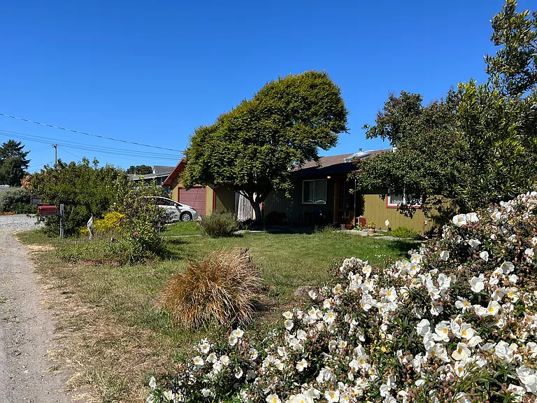 The front of the home. The front yard has many shrubs and trees and a medium-sized lawn.