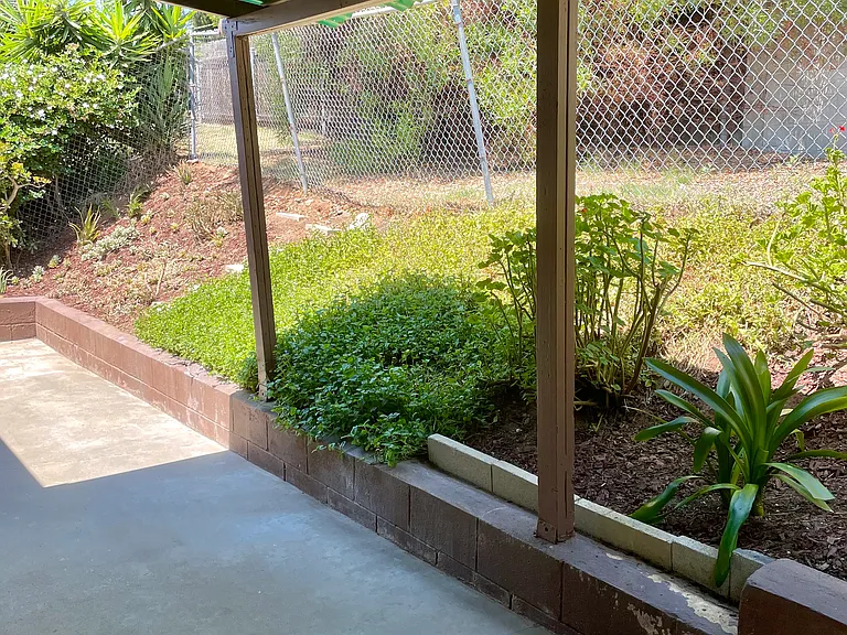 3556 Fir St — Photo 15