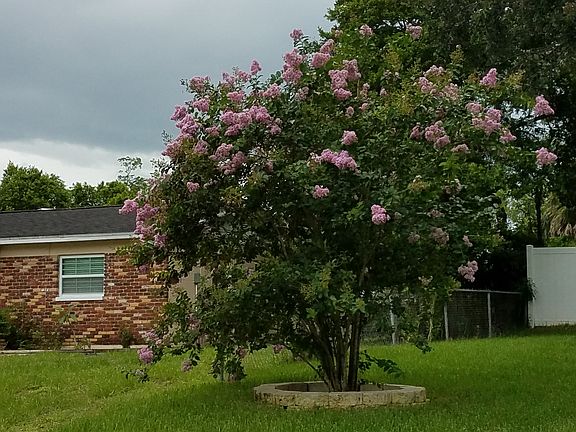 5th image of 709 Sparrow Ave