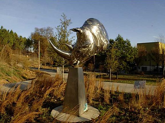 Entrance to the Path