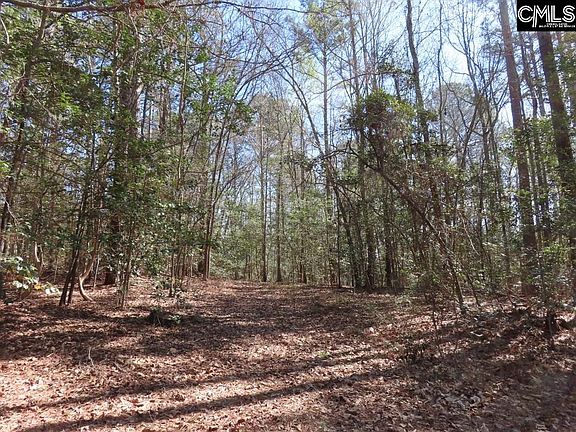 2nd image of 1672 Dixired Rd