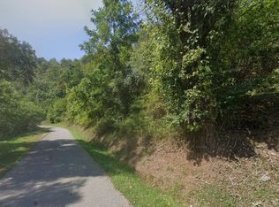 563 Northside Rd, Grantsville, WV 26147