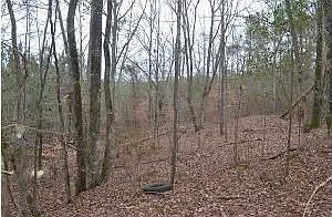 1st image of 11075 Jones Camp Spur