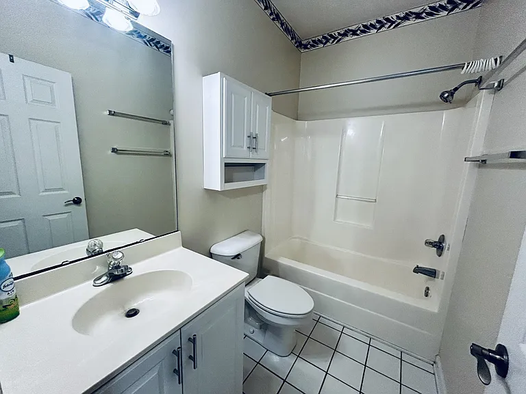 Master bathroom_03122024