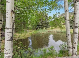 348 Brookside Dr, Bailey, CO 80421