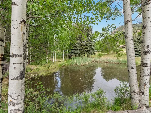 348 Brookside Drive, Bailey, CO 80421