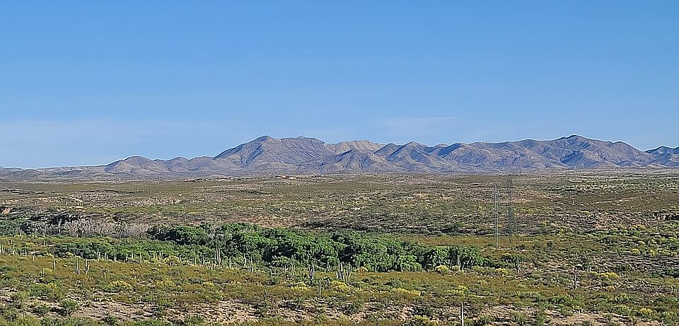 Vail Cienega. Perennial spring
