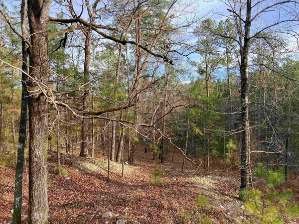 0 S Reform Rd, Paron, AR 72122