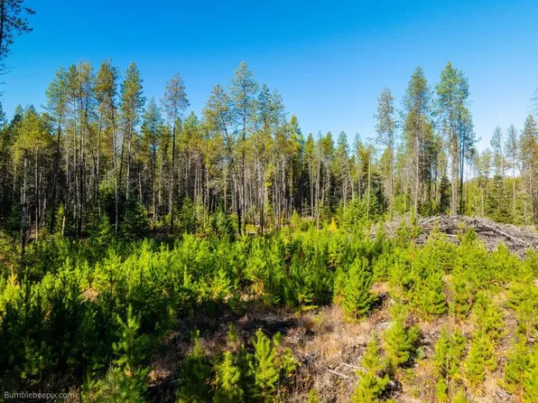 Nka Western Larch Rd, Newport, WA 99156