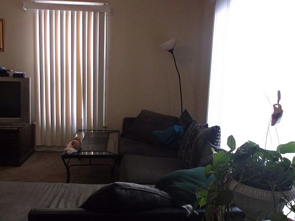 Living room 15 x 15