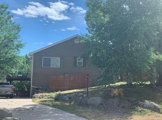 607 E 1st St, New Castle, CO 81647