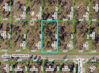 13065 Thrasher Ave, Weeki Wachee, FL 34614