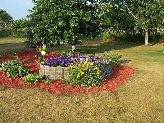 flower bed in backyard