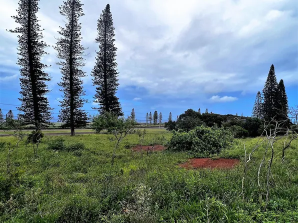 Mahiki Pl #D-10, Maunaloa, HI 96770