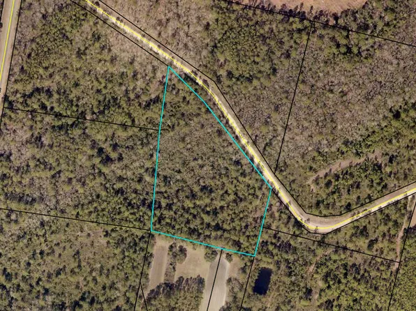 0 Browntown Rd, Jesup, GA 31546