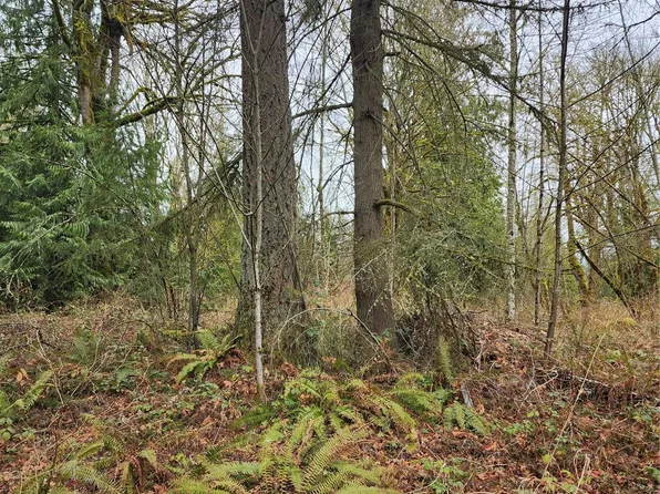 0 Vacant Land, Maple Valley, WA 98038