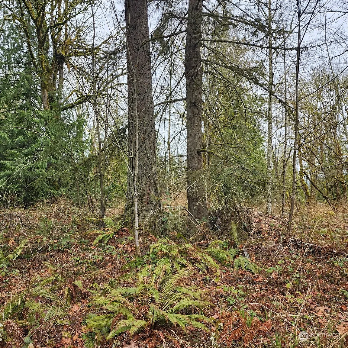 0 Vacant Land photo 1