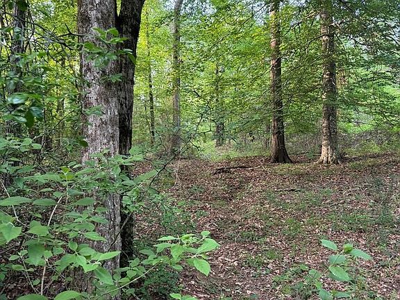 3rd image of 0 Ogden Rd