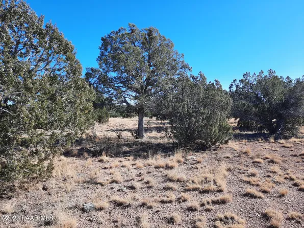 LOT-215A N Kudu Rd, Seligman, AZ 86337