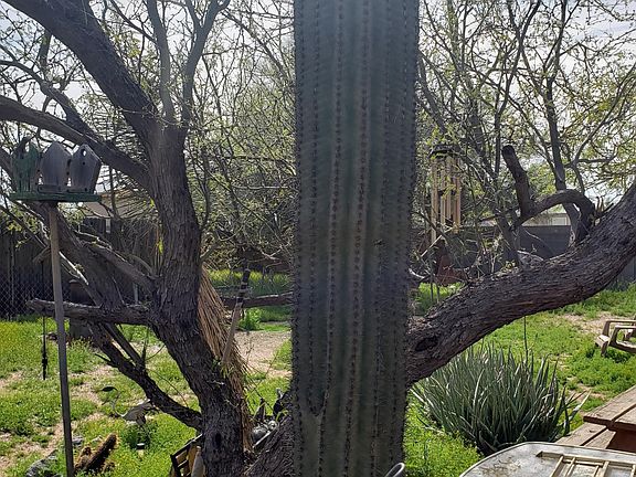 3rd image of 653 N Saguaro Dr