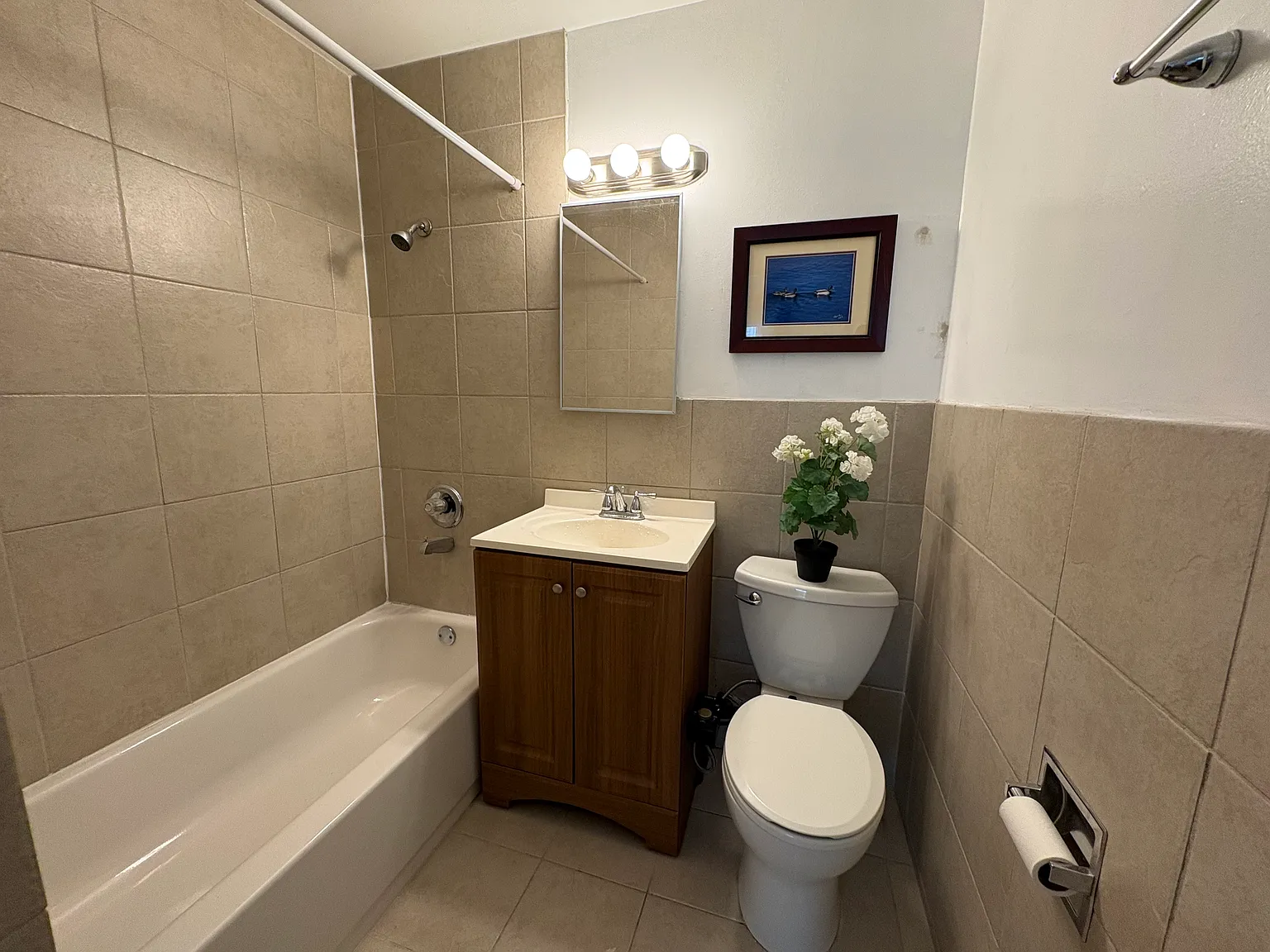1 bed, 520 sqft, $1,480 — Photo 4