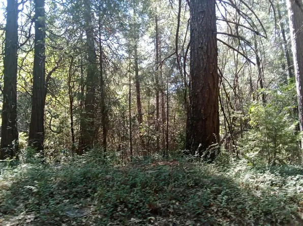 2 Just Rd, Colfax, CA 95713