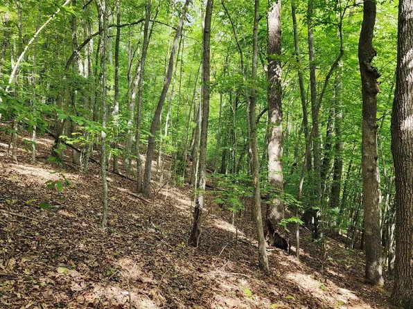 325-327 White Fawn Dr, Spruce Pine, NC 28777