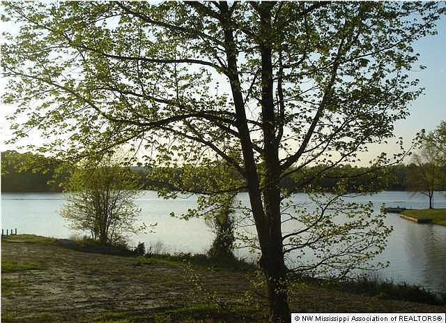 2nd image of 352 Plum Point Cv