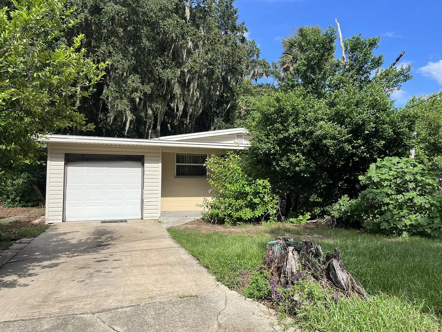 3 bed, 1.5 bath, 1312 sqft, $1,800 — Photo 3