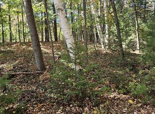 8300 Kokosing Rd, Hale, MI 48739