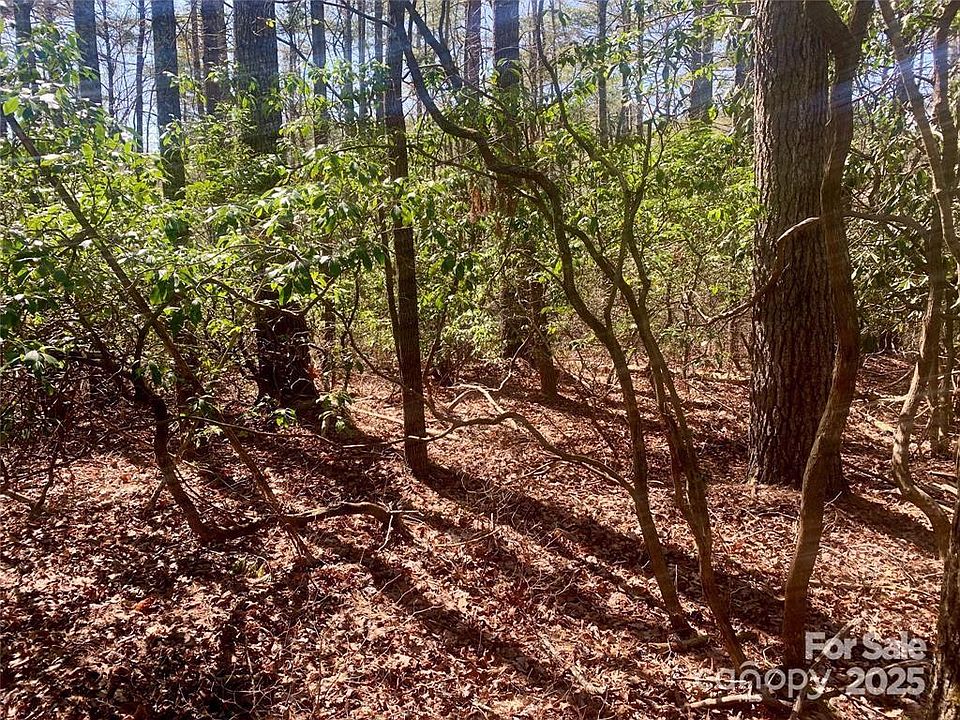 2nd image of 22 Double Creek Dr Lot 22 & 25