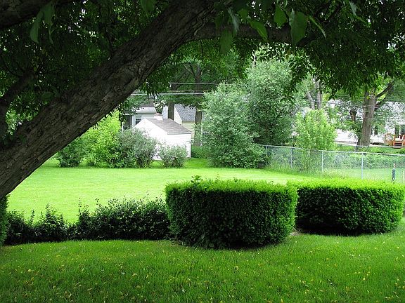 Back yard