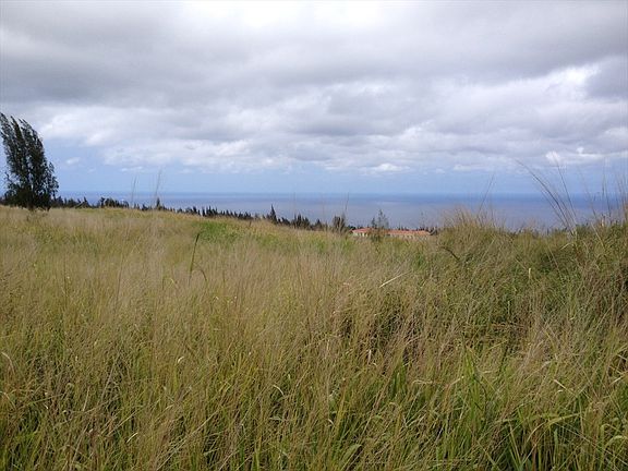 4th image of Paauhau St Lot 2
