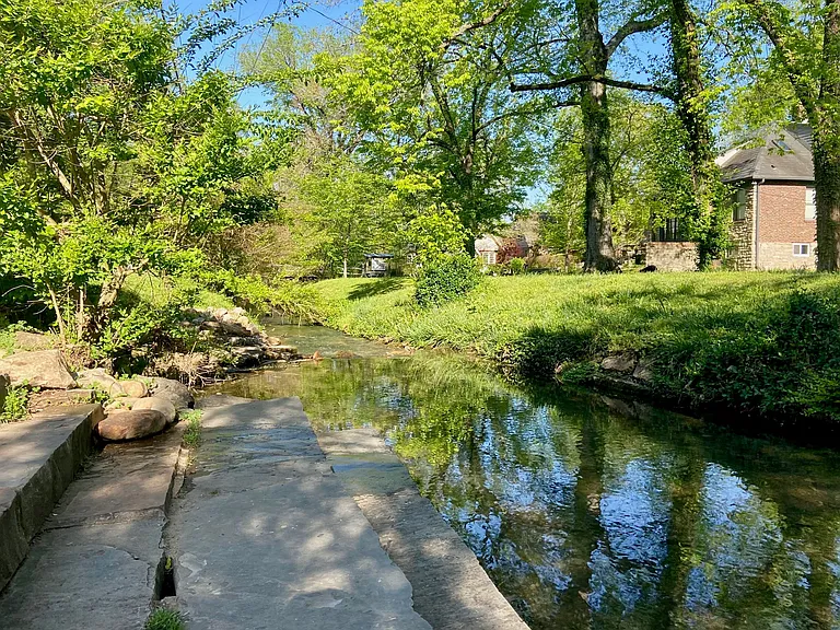 Kingfisher creek at end of street