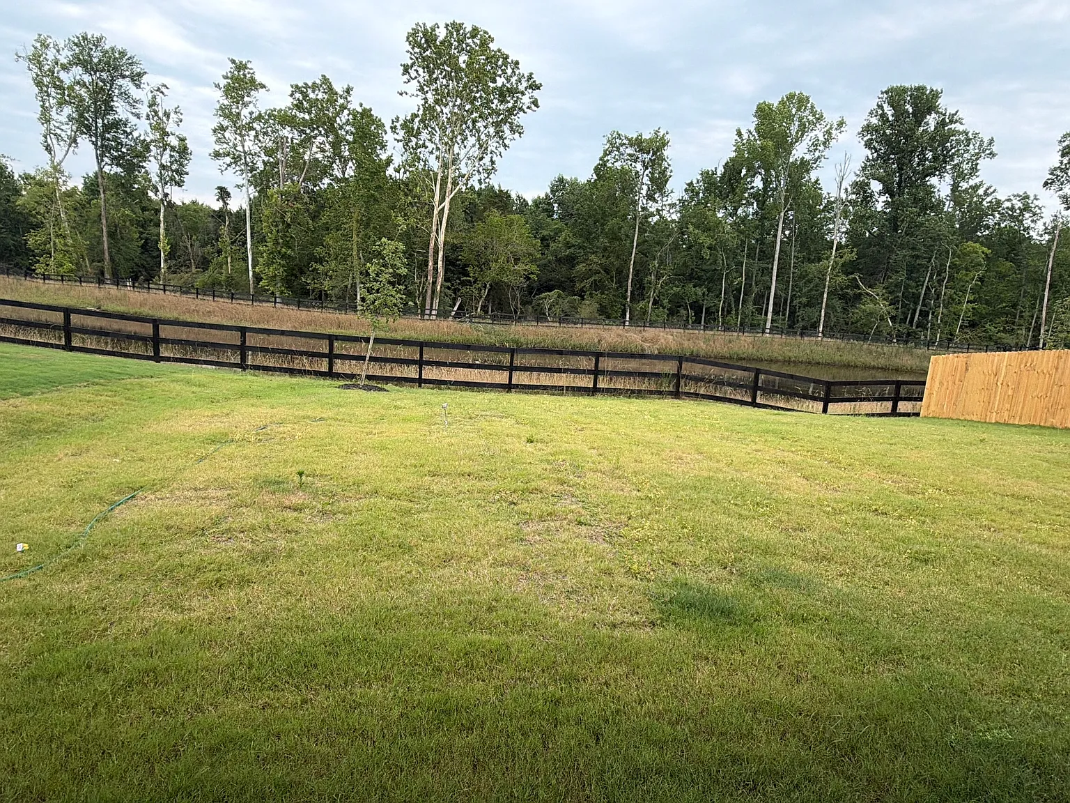 4 bed, 3005 sqft, $3,150 — Photo 4