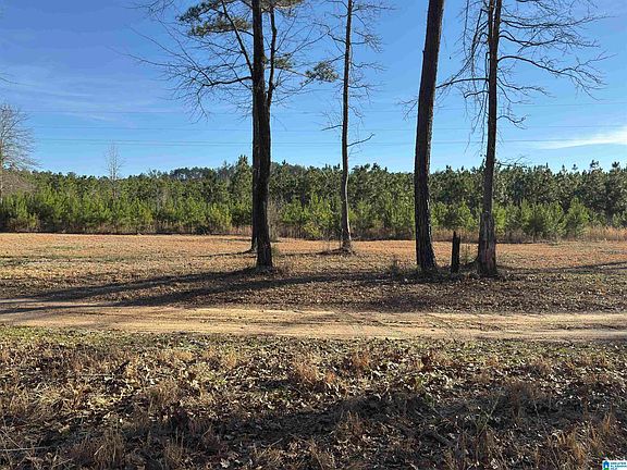 4th image of 0 County Road 863 #0